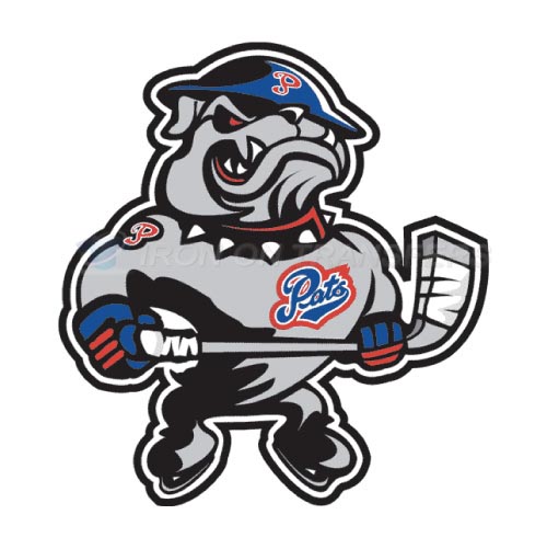 Regina Pats Iron-on Stickers (Heat Transfers)NO.7538